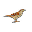 Eurasian Wryneck Enamel Pin